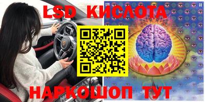 герыч Кингисепп