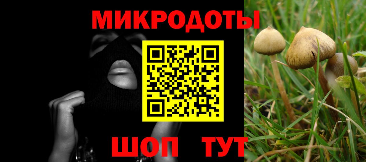 Псилоцибиновые грибы мухоморы Кубинка
